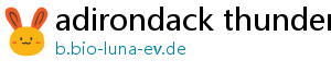 adirondack thunder