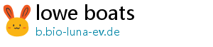 lowe boats