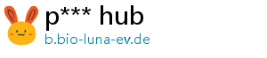 p*** hub